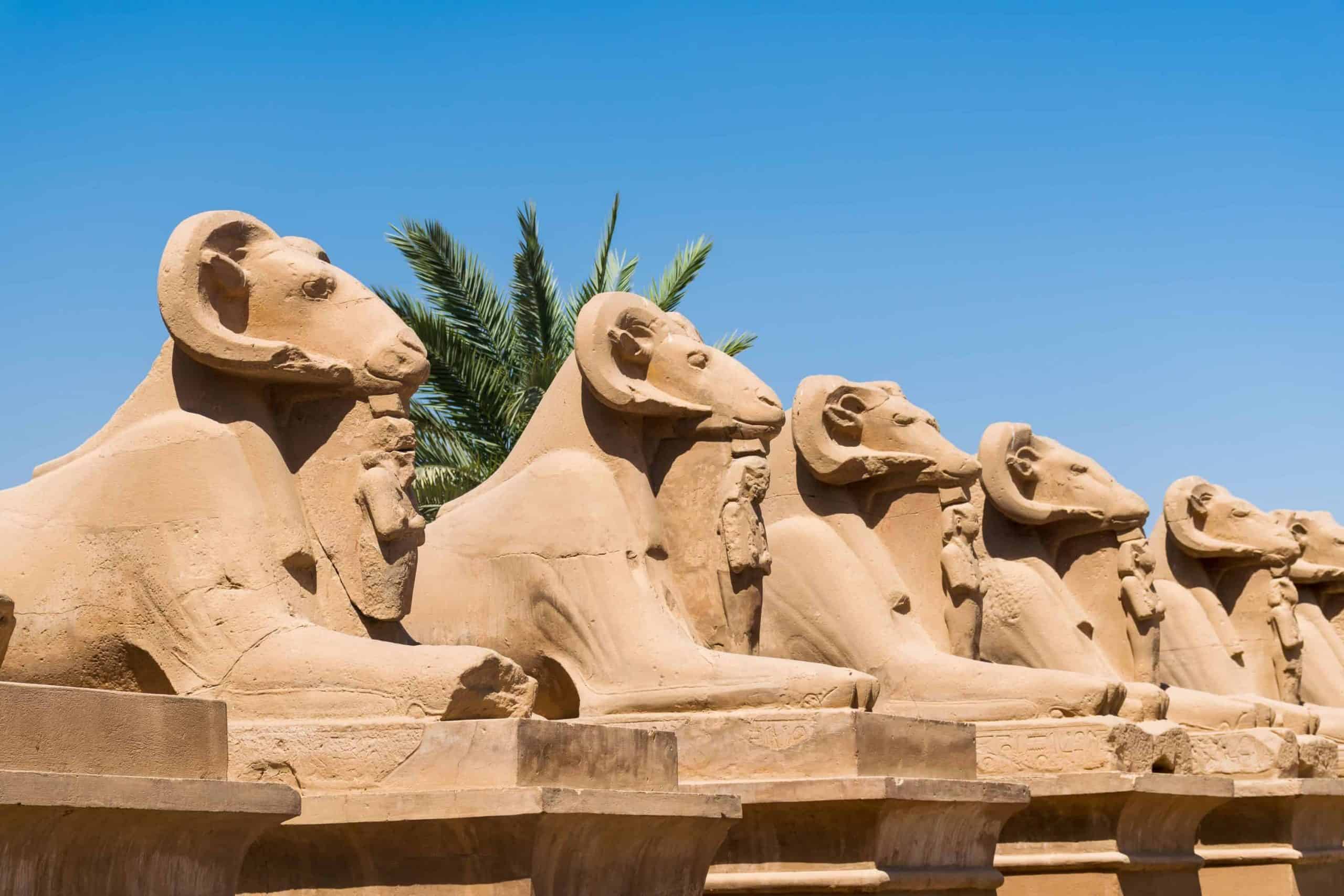 Wat te doen in Luxor in Egypte? Tips + bezienswaardigheden