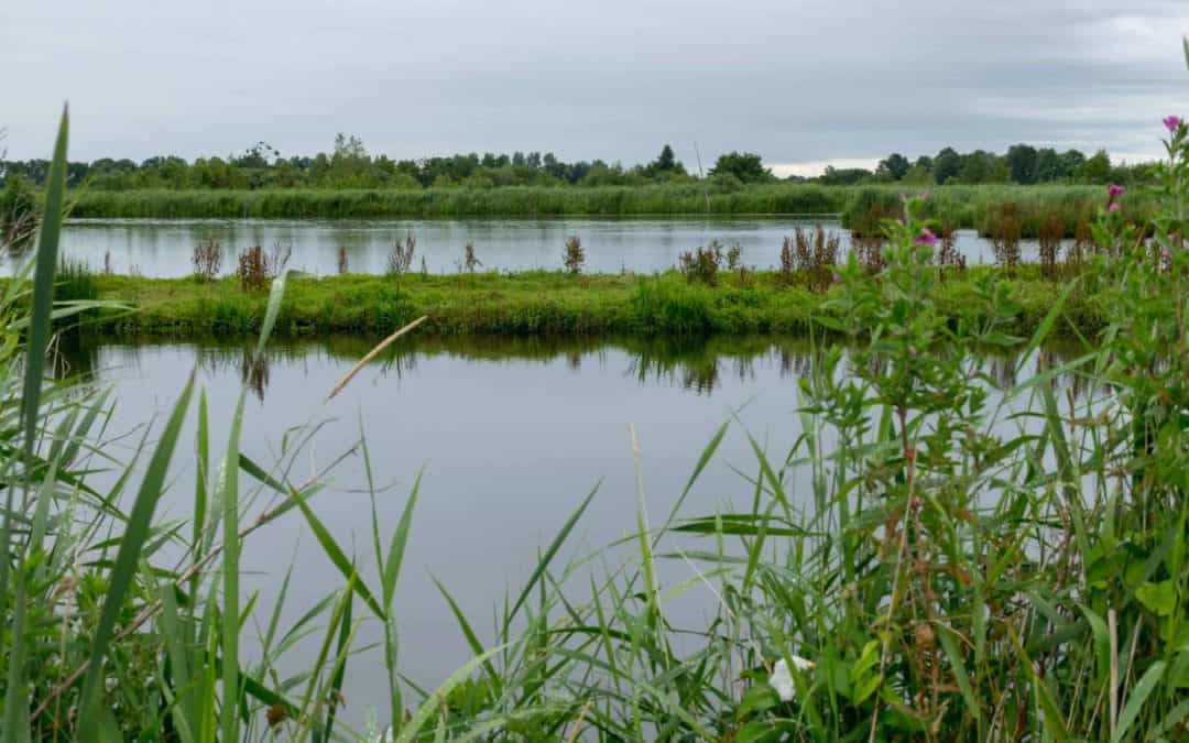 Wandelen in Nationaal Park de Alde Feanen