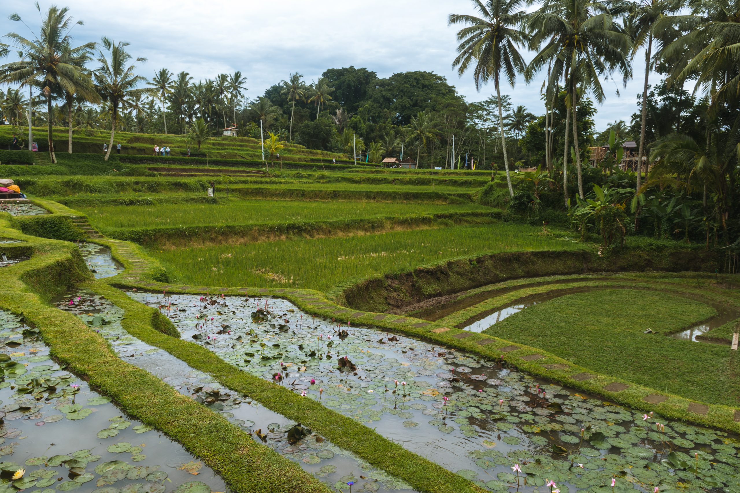 Mooiste uitzichten op Bali: nusa Penida