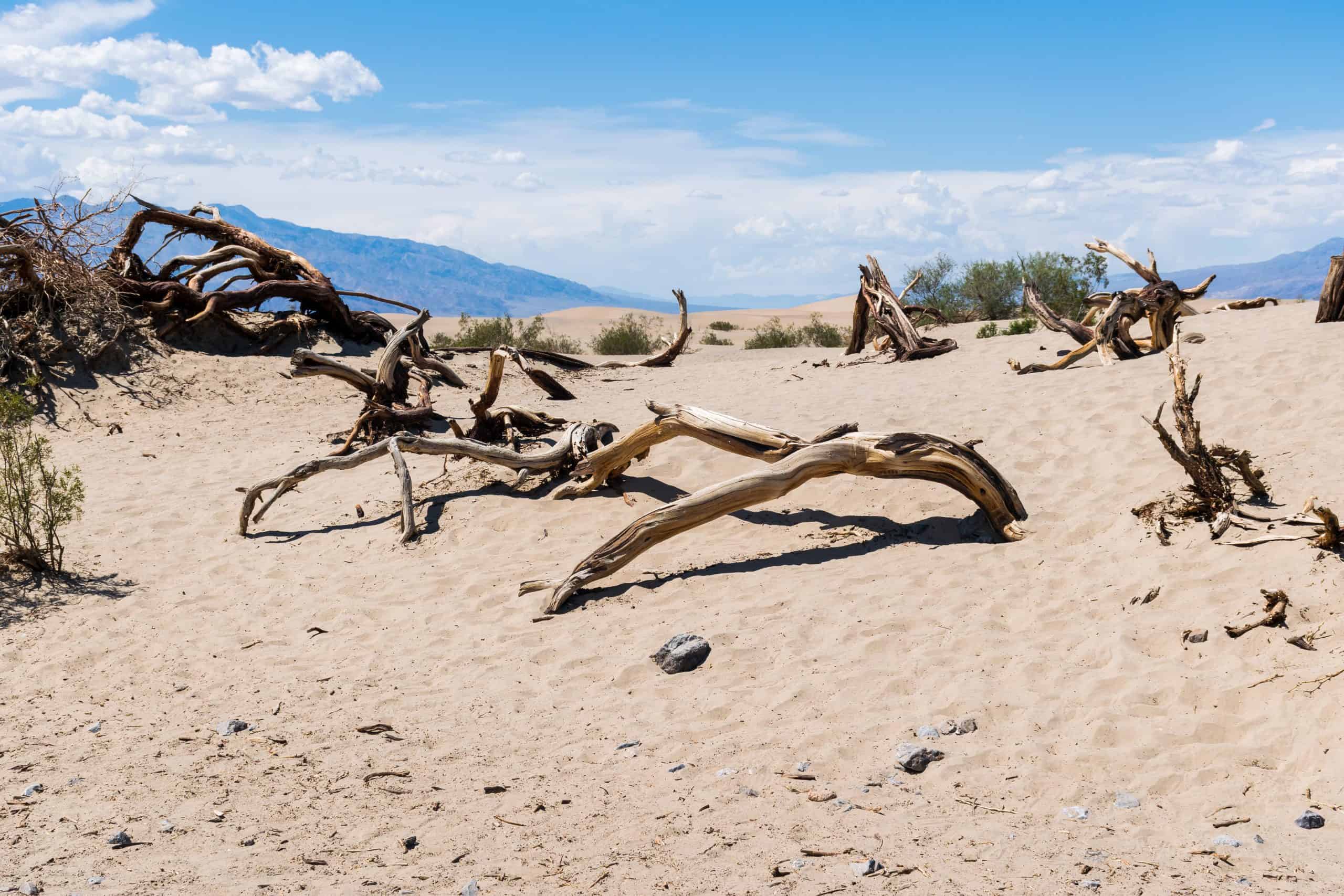Deat Valley tips: de zandduinen in Death Valley National Park in Amerika