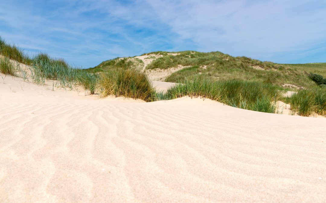 Wandelroute in Schoorl: de prachtige stuifduinentocht!