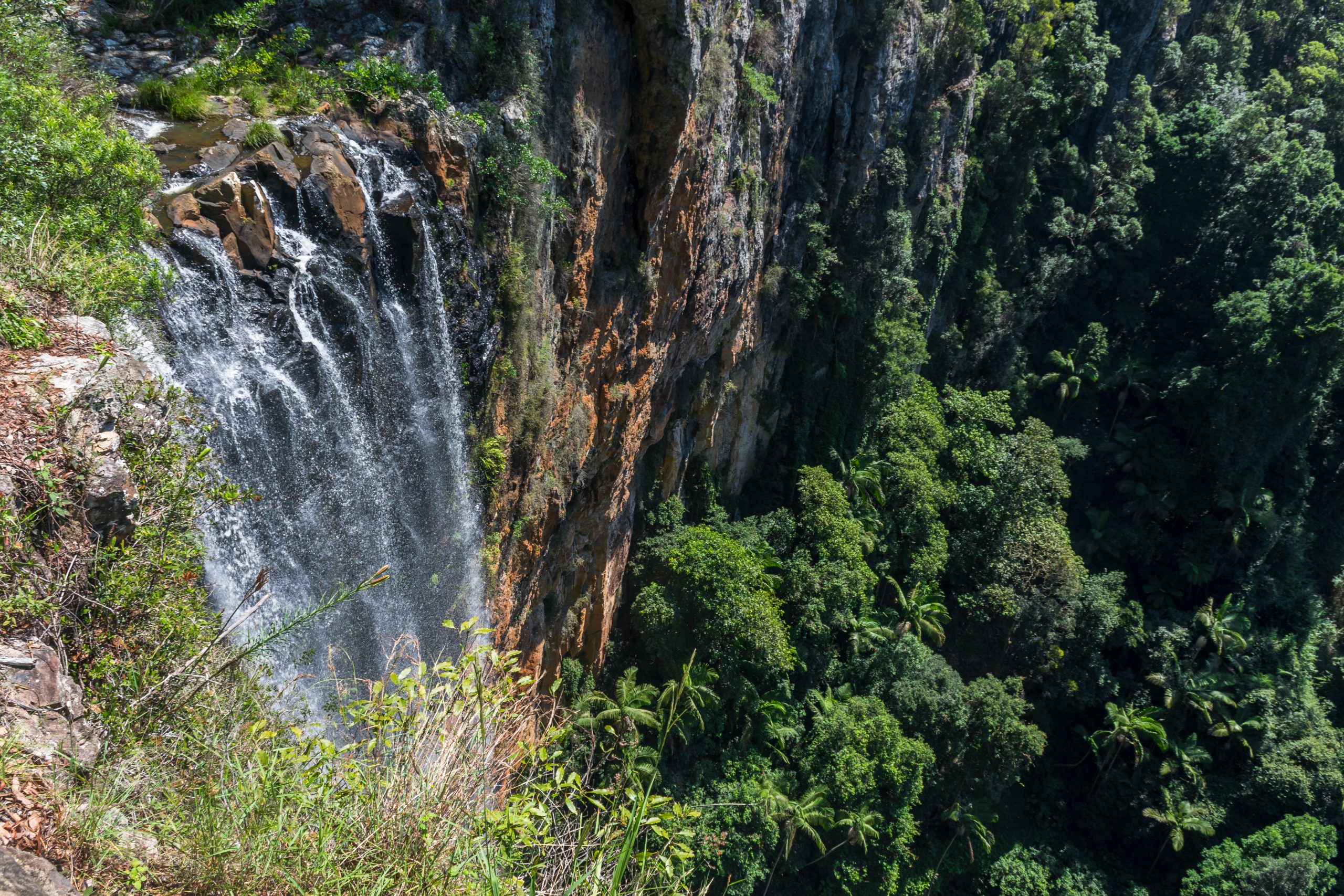 Tips voor Springbrook National Park: Mooie waterval 