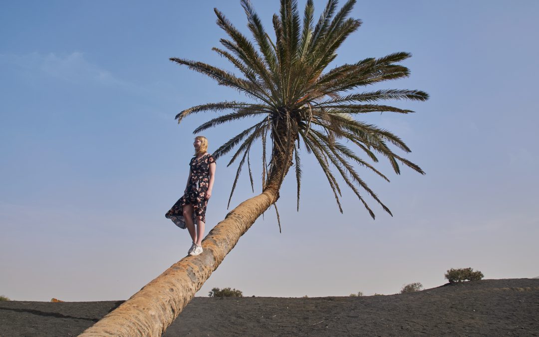 Favorieten van 2022: een compleet jaaroverzicht