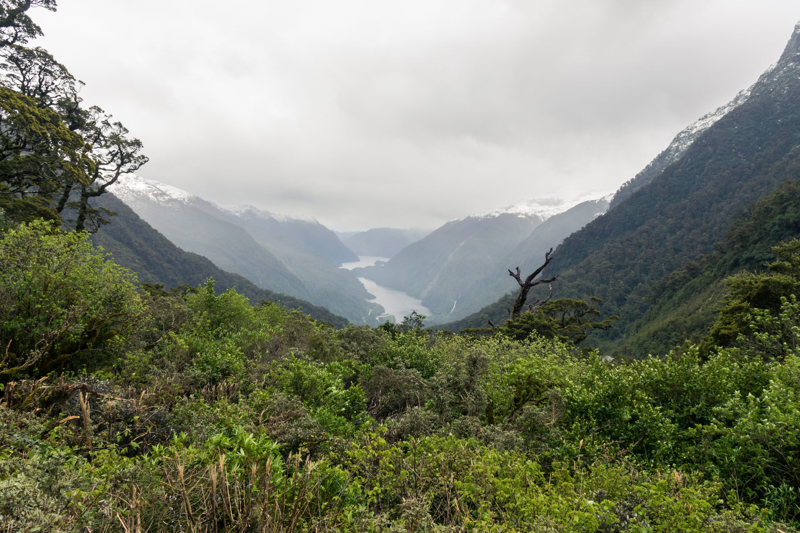uitzicht op Doubtful Sound in Nieuw-Zeeland
