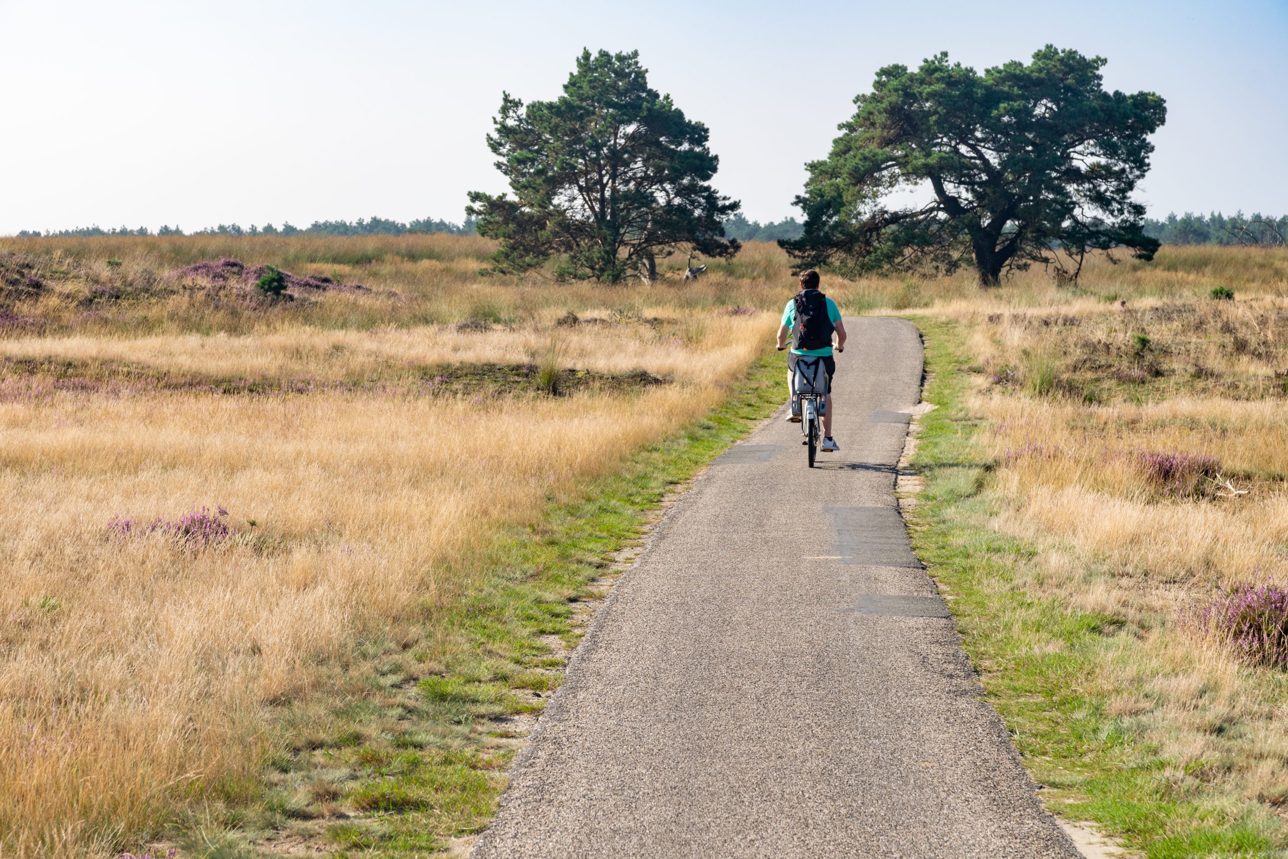 Nationaal Park De Hoge Veluwe Bezoeken Tips Bezienswaardigheden nationaal-park-de-hoge-veluwe-bezoeken-tips-bezienswaardigheden