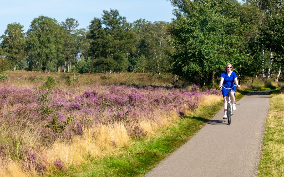 Fietsen in Nationaal Park de Hoge Veluwe