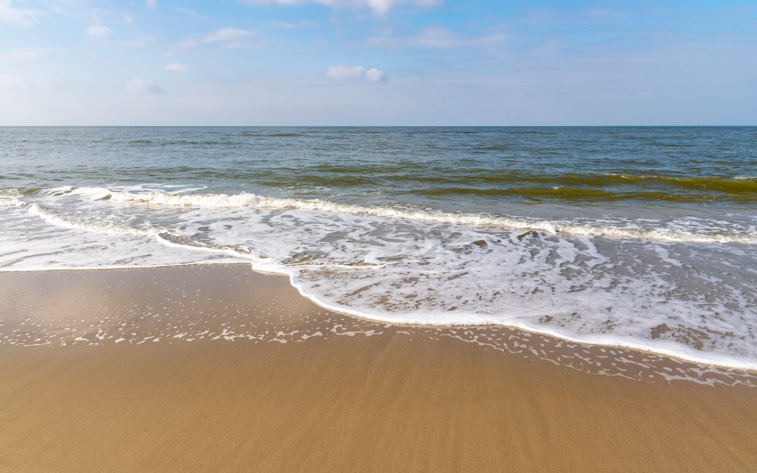 Petten aan Zee bezoeken: wat te doen in Petten?
