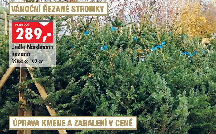 Stromky