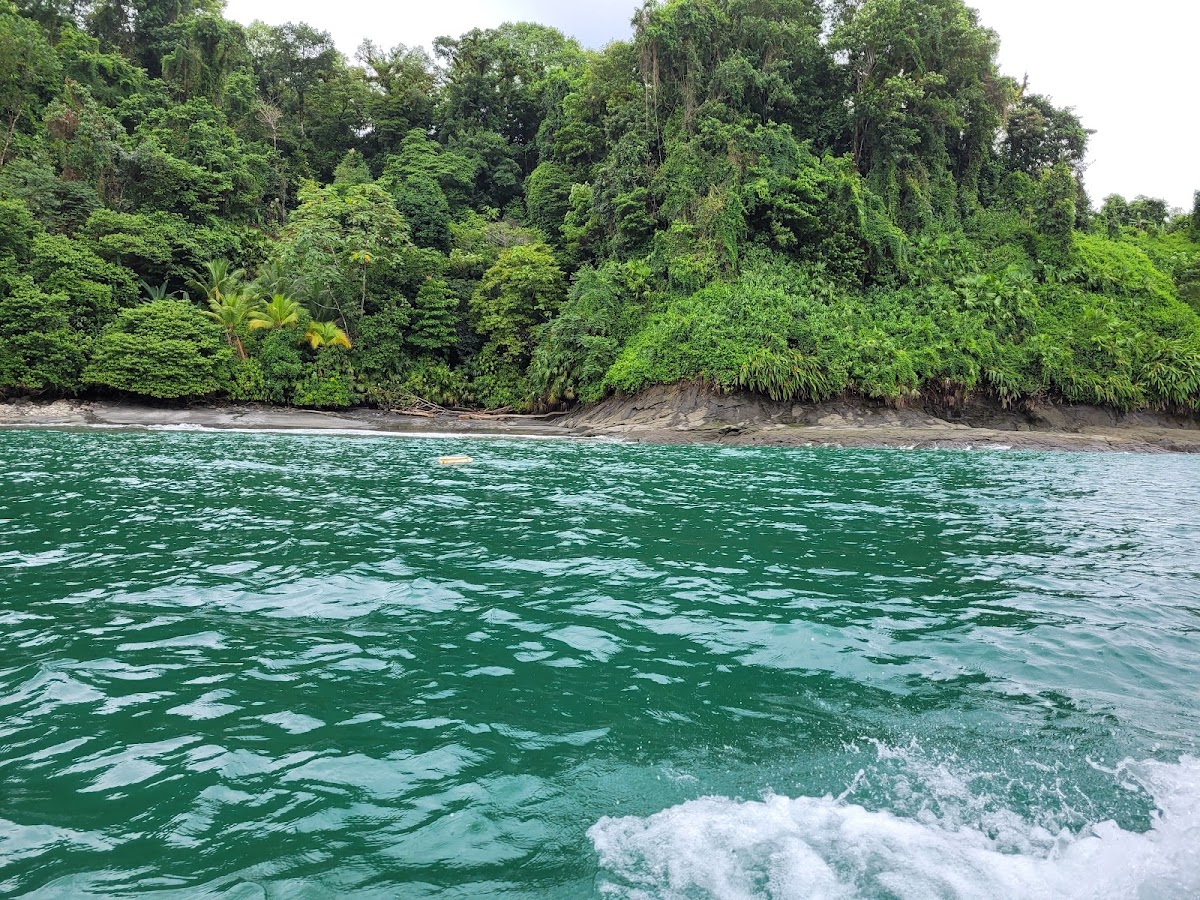 Bahía Solano (Chocó)