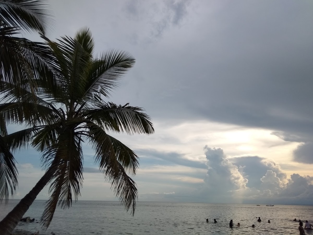 Necoclí (Urabá)