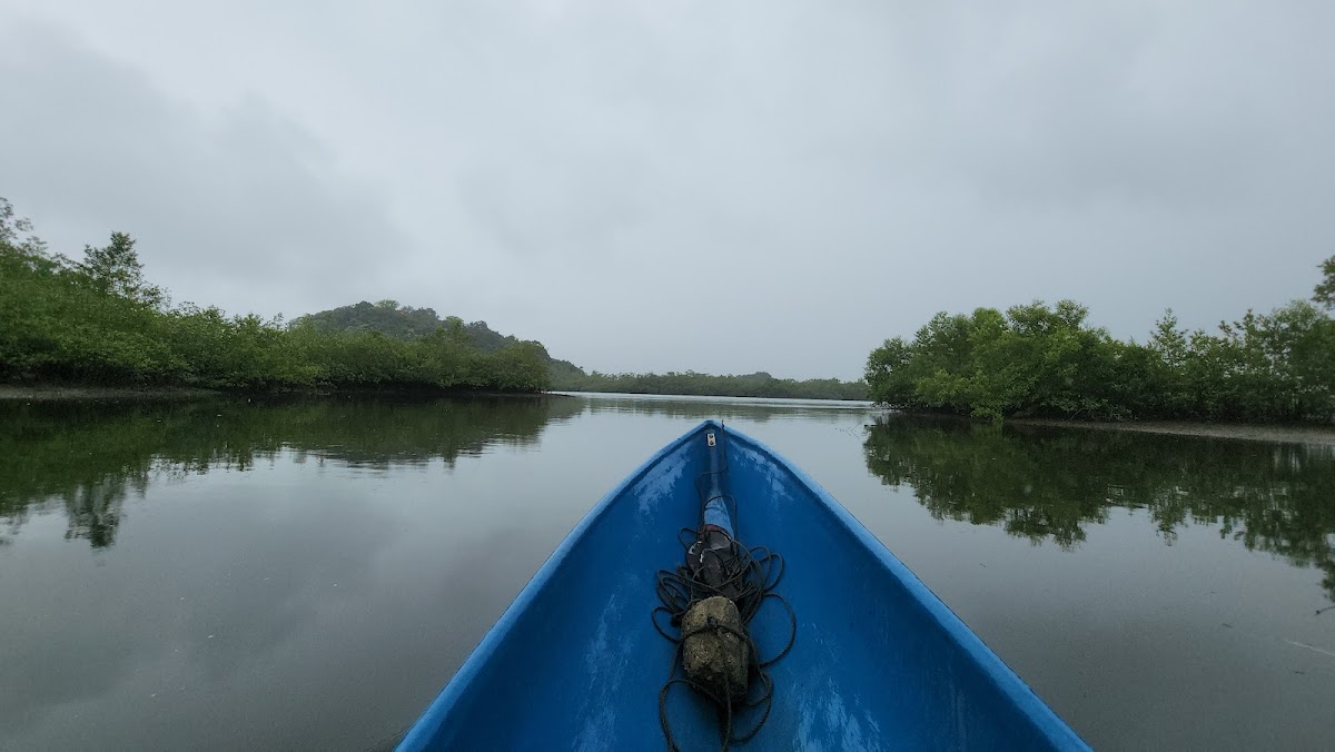 Nuquí (Chocó)