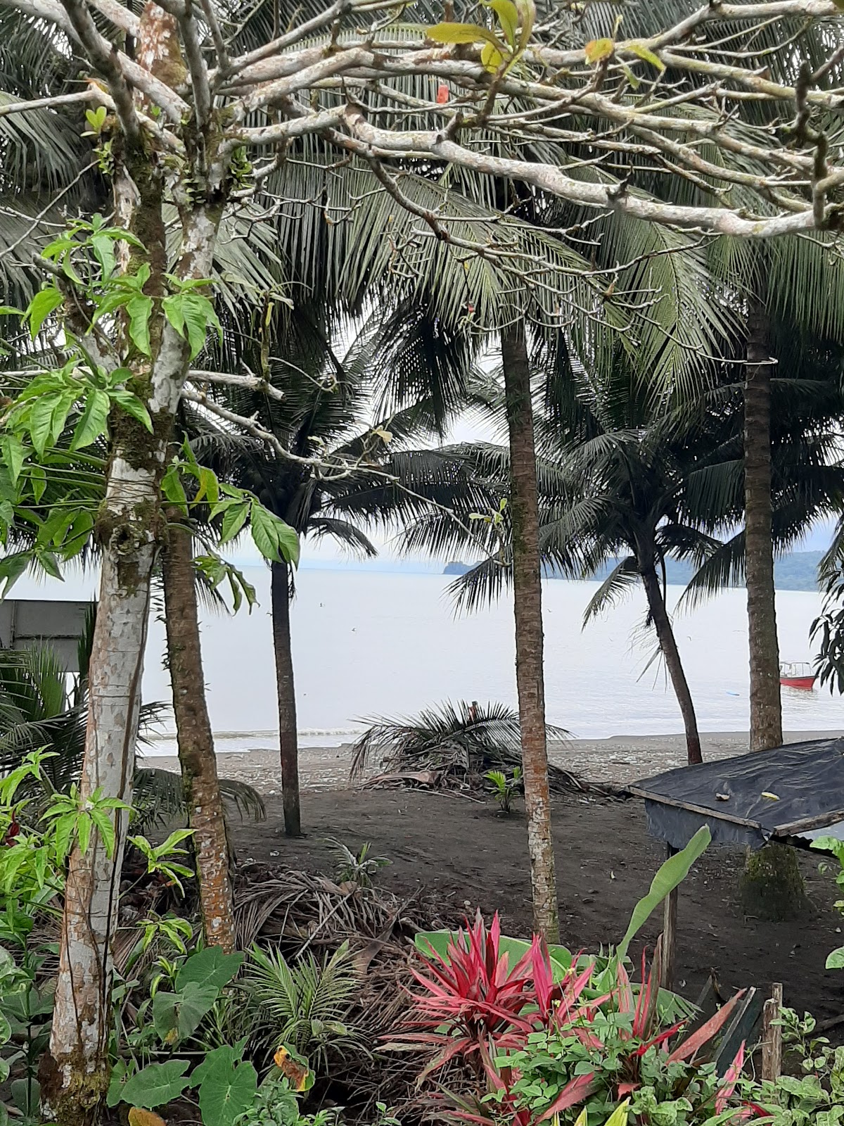 Nuquí (Chocó)