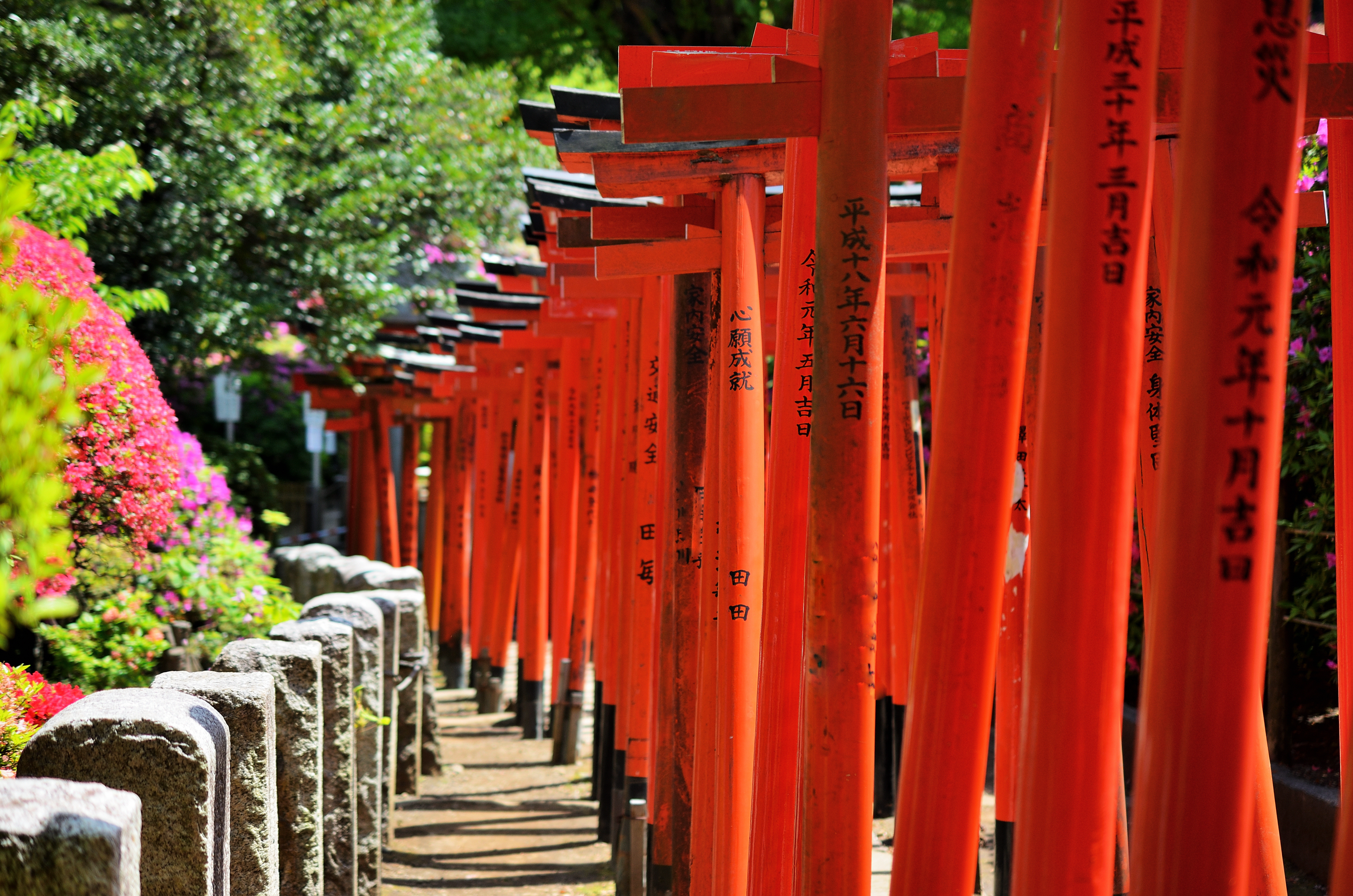 17. Nezu Shrine