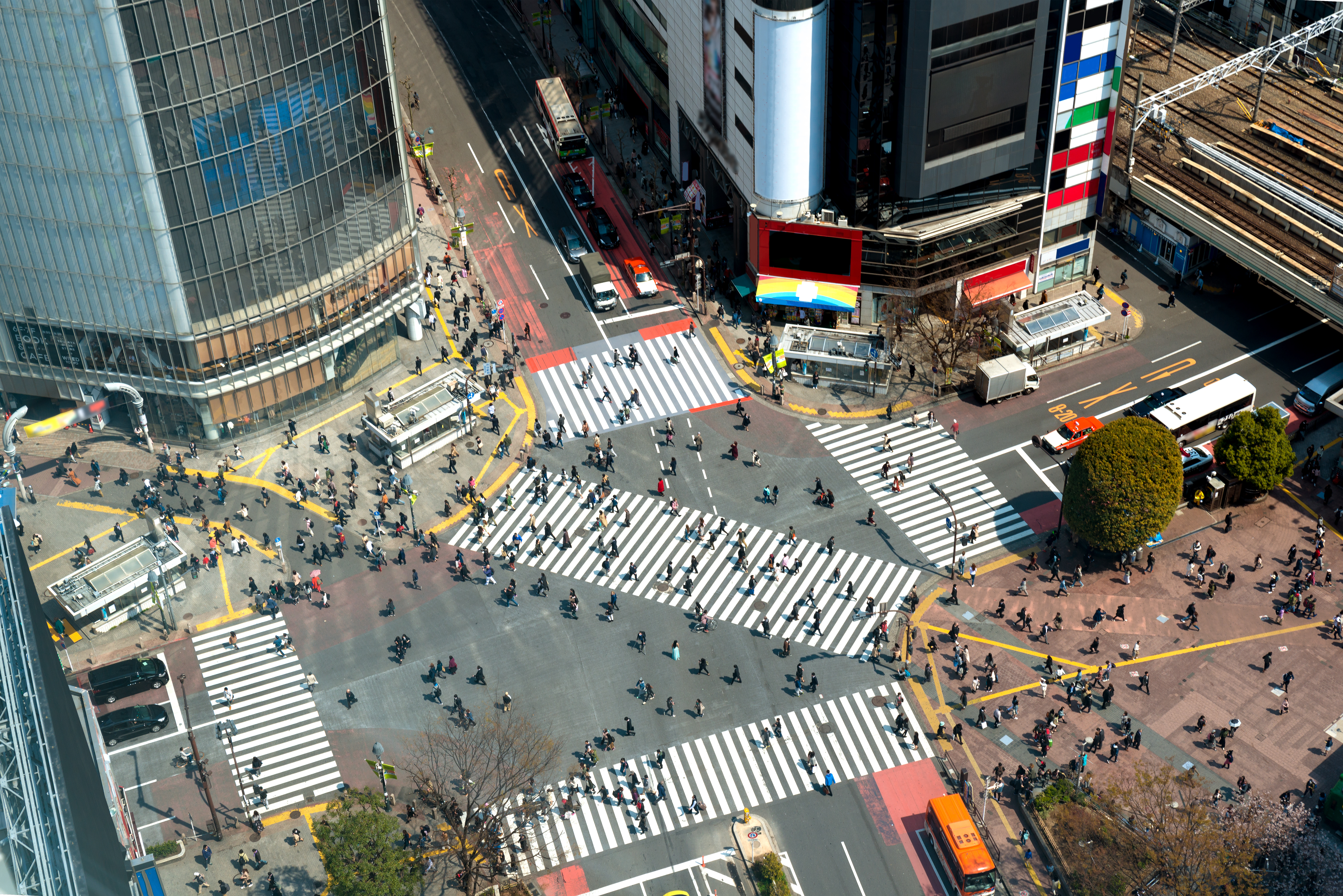 Shibuya Crossing