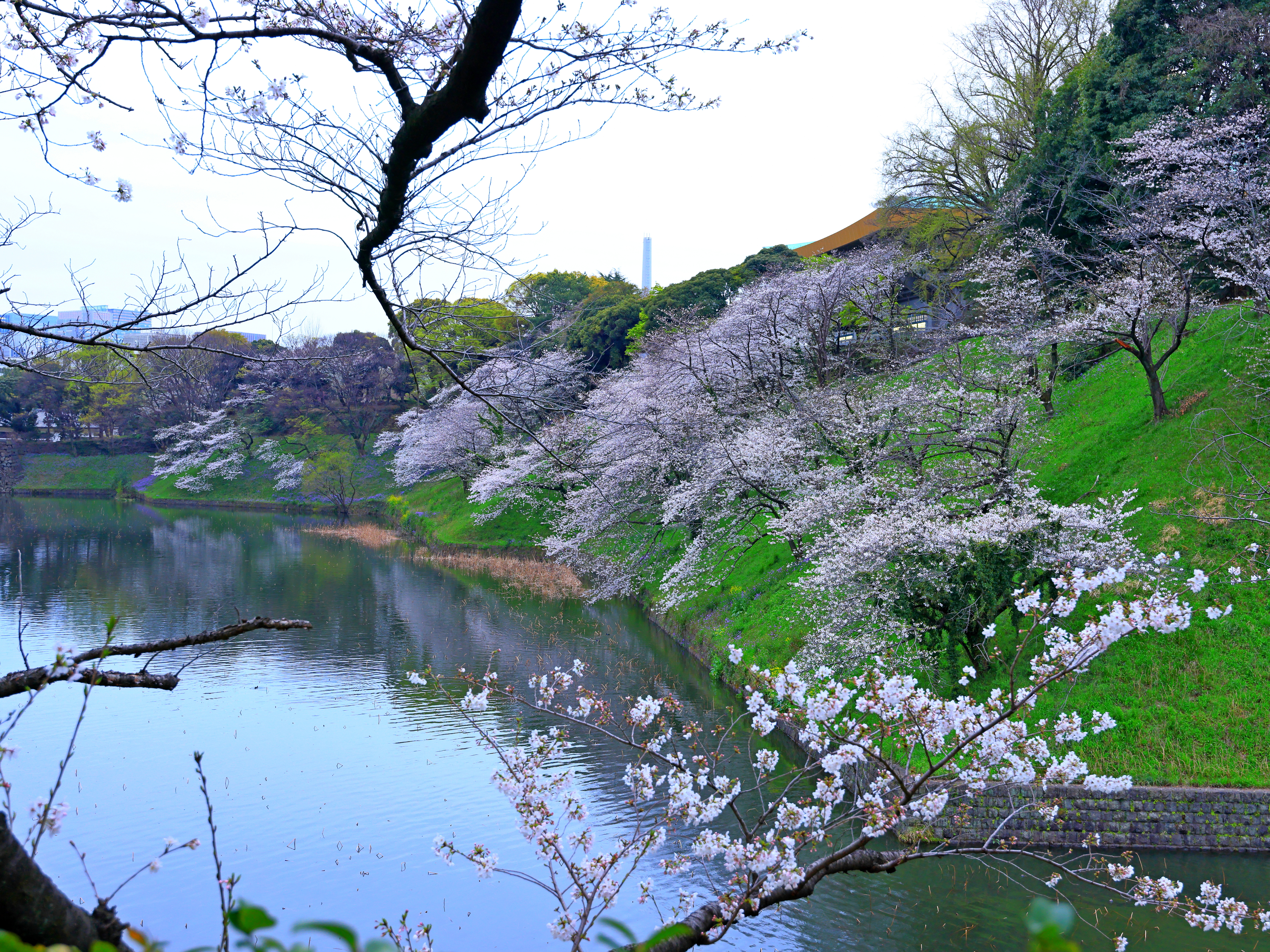 Shinjuku Gyoen