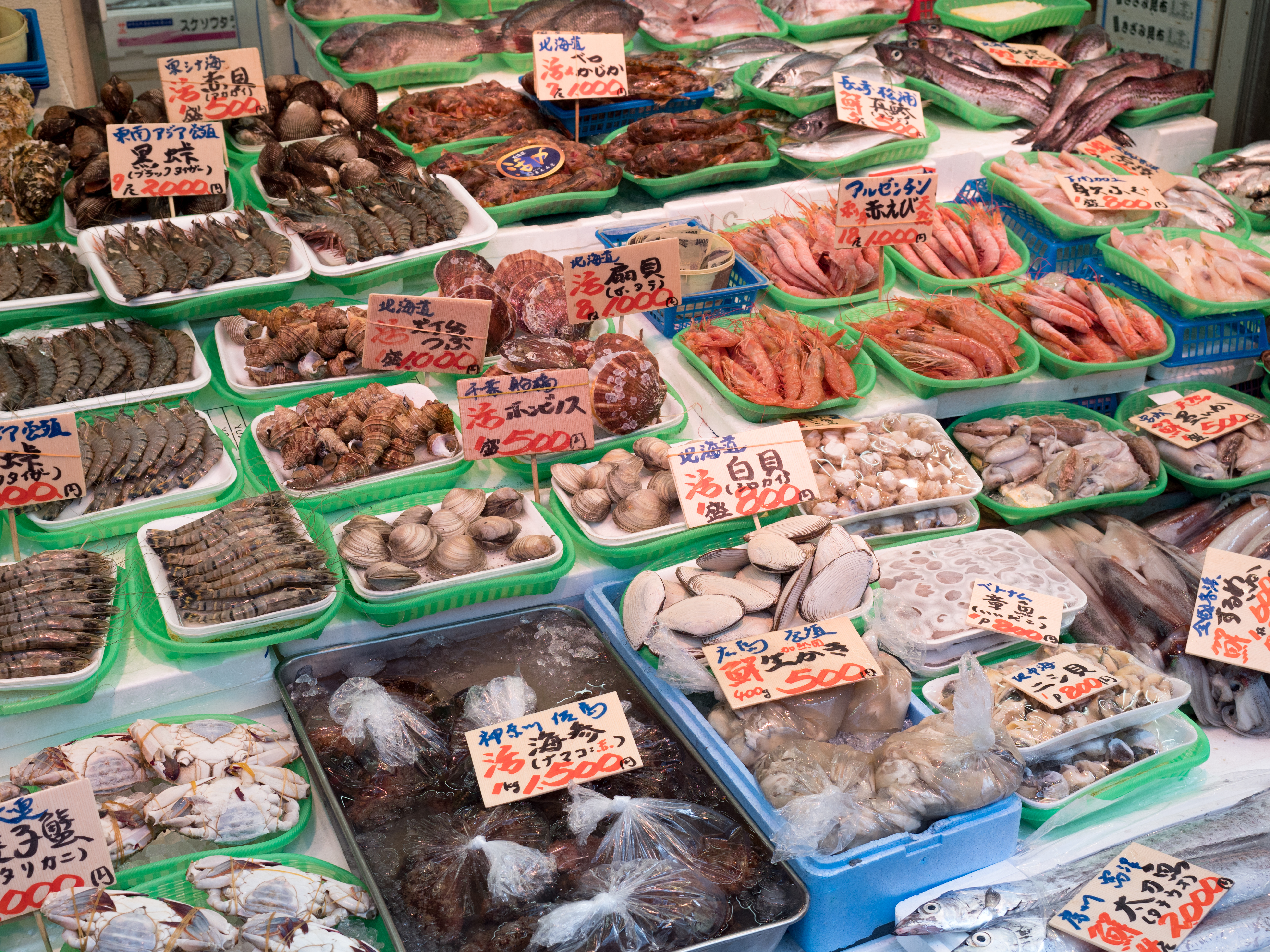 16. Toyosu Fish Market