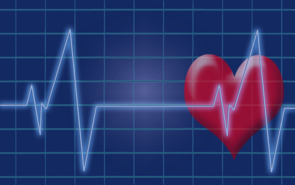american heart month heart health