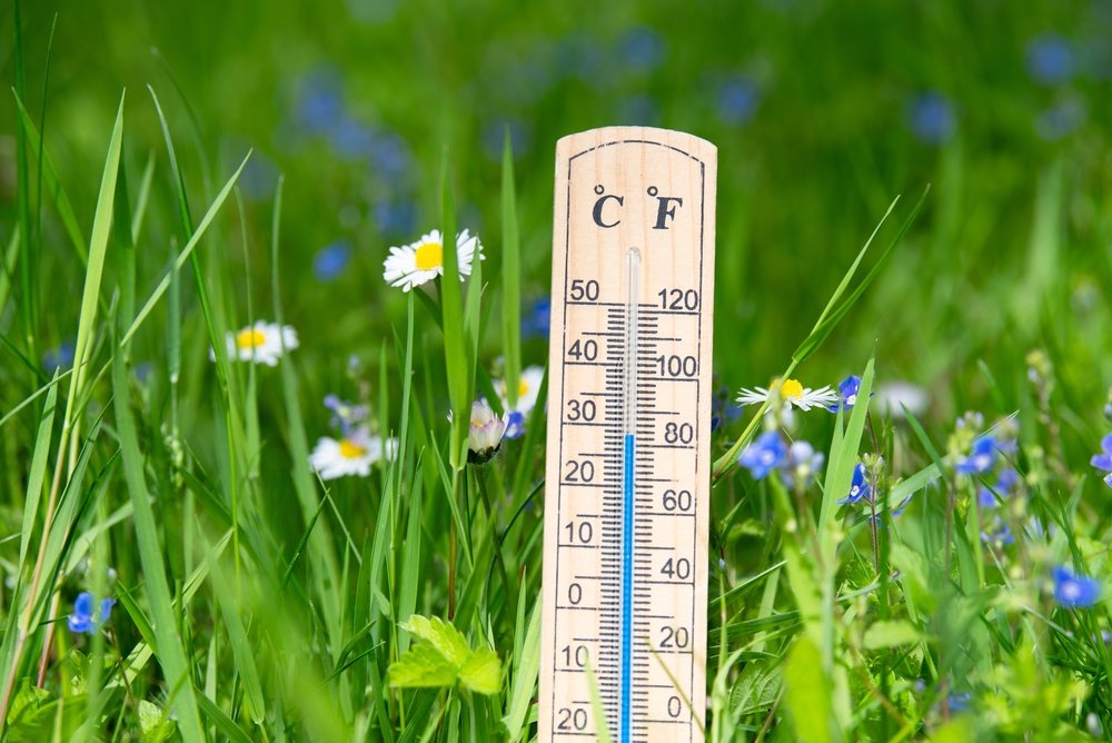 temperature.jpeg