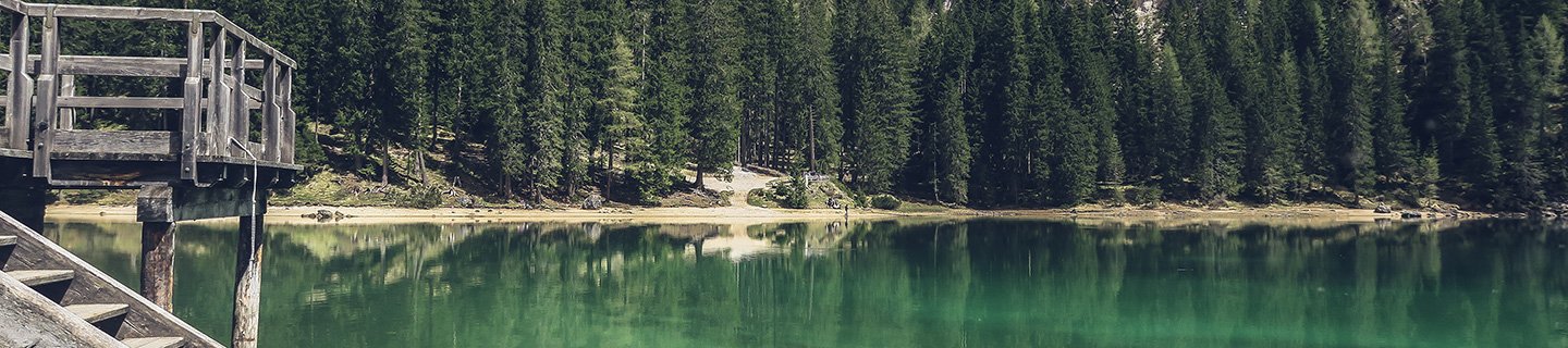 Panoramic view of the reflection of the pine tree on the lake