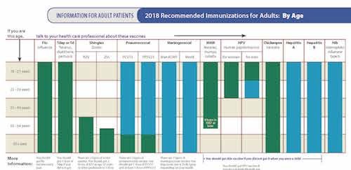 Adult Immunizations Information