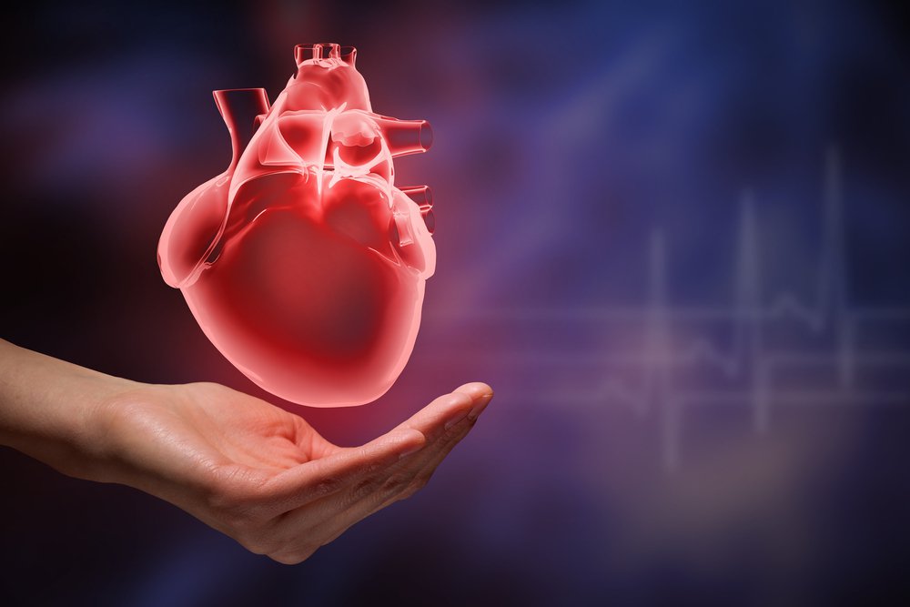 hearthealth.jpeg (shutterstock_324804920.webp)