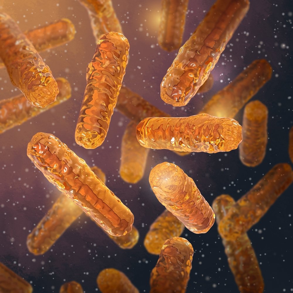Medical background, Shigella gram-negative immobile rod-shaped bacteria, pathogens from the group of shigellosis, dysentery, dangerous pathogen, 3D rendering