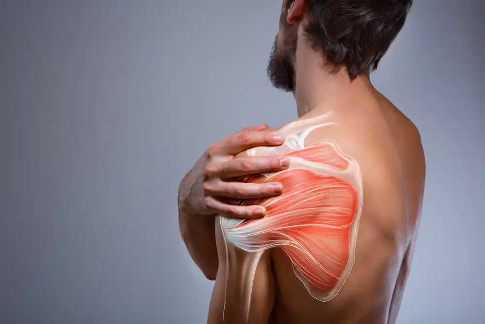 Is Your Shoulder Pain Coming From The Rotator Cuff? -Innovative PT