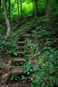 b2ap3_large_woods_steps_blog_Yxpahd9.jpeg (b2ap3_large_woods_steps_blog.webp)