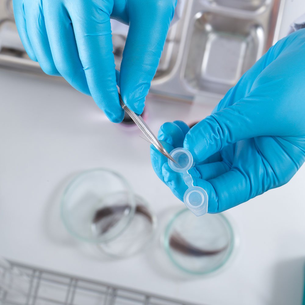 Is Your Company's Drug Testing Policy Compliant with OSHA's New