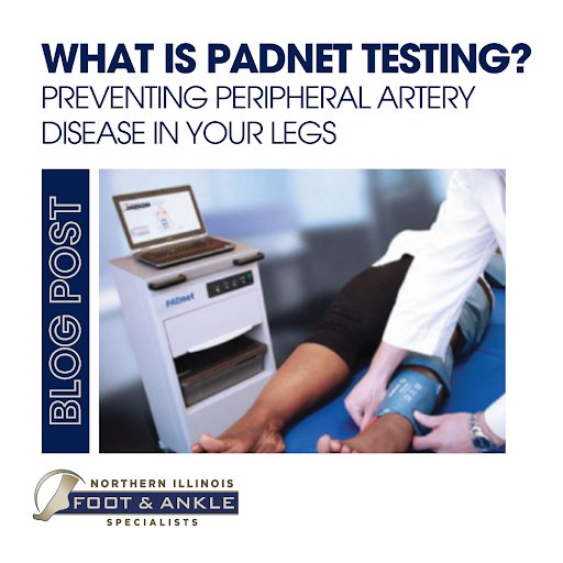 padnet testing