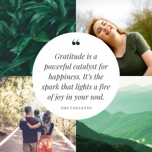 Gratitude-is-a-powerful-catalyst-for-happiness.jpeg
