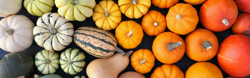 Winter-Squash-Banner.jpeg