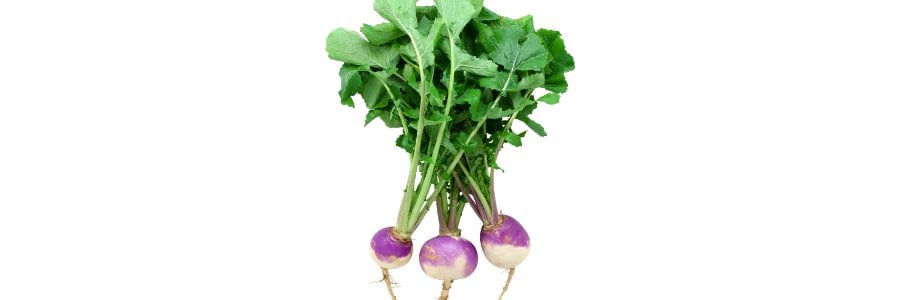 img-blog-Try-a-Tasty-a-Turnip.jpeg