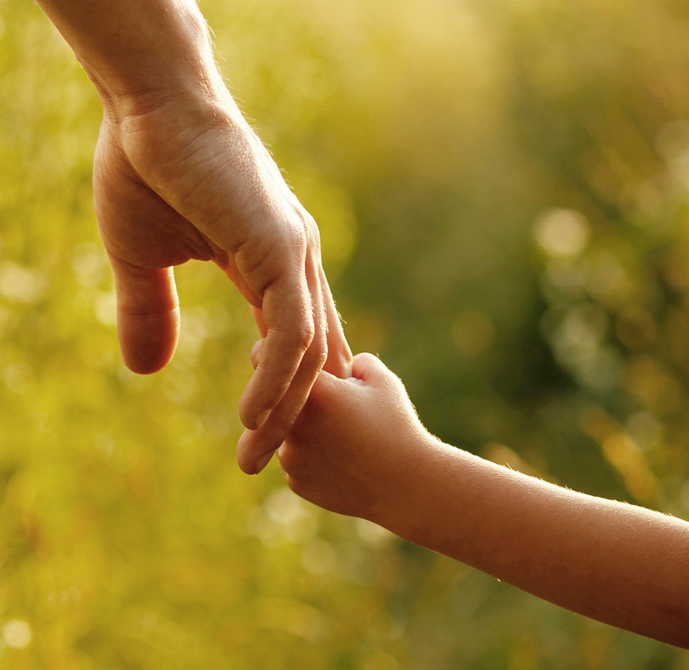 Domestic Surrogacy
