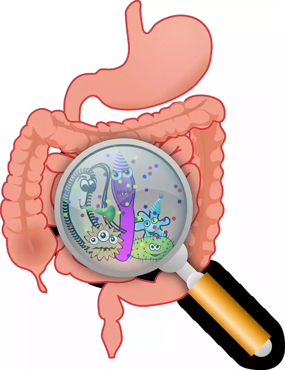 stomach-bugs-how-and-when-to-treat-gastroenteritis-capital-area