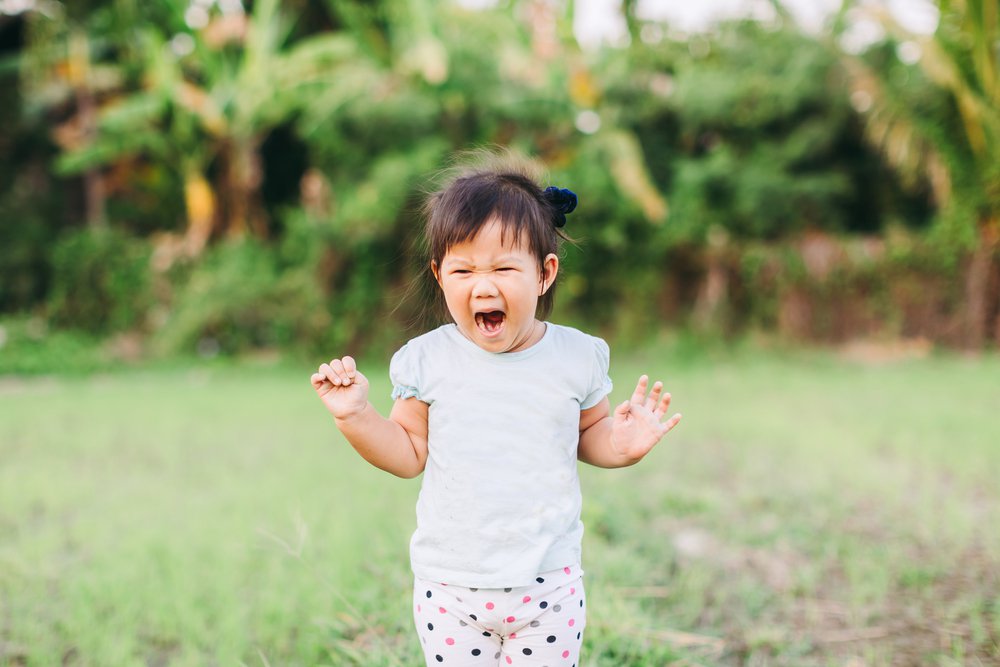 toddlertantrum.jpeg (image_D4Glcdg.webp)