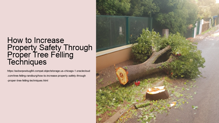 How to Increase Property Safety Through Proper Tree Felling Techniques
