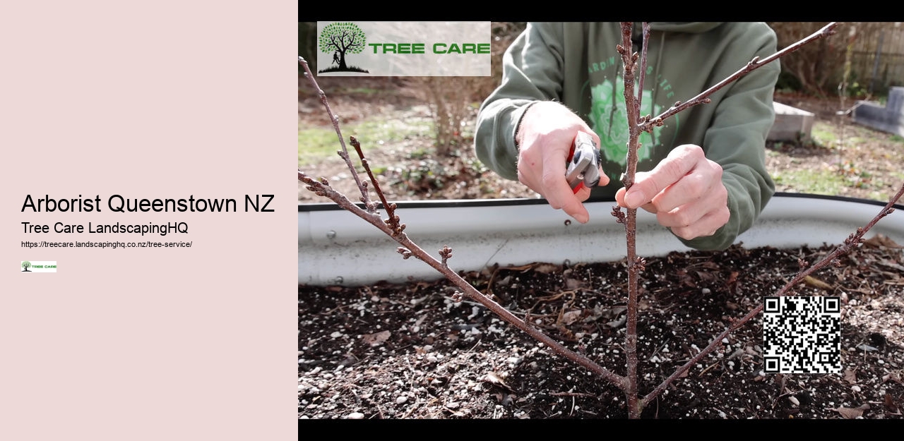 NZ Tree Care