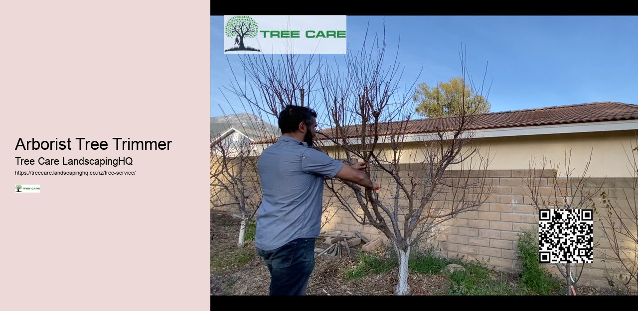 Arborist Tree Trimmer