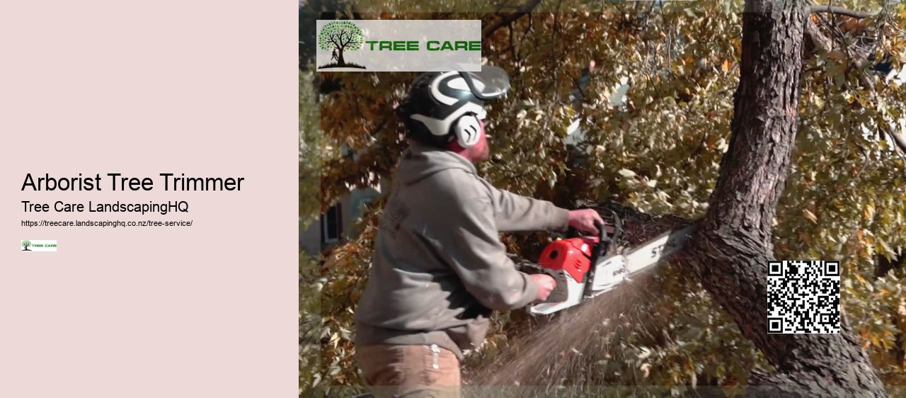 Tree Surgeon Dunedin