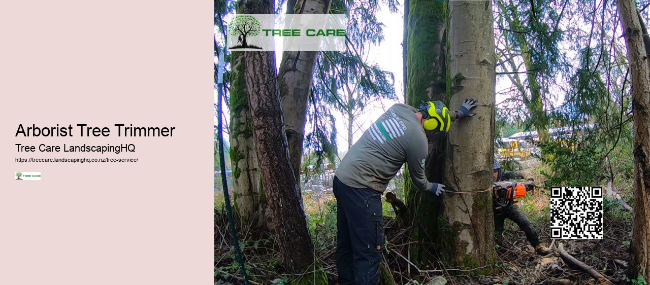 Tree Trimming East Auckland