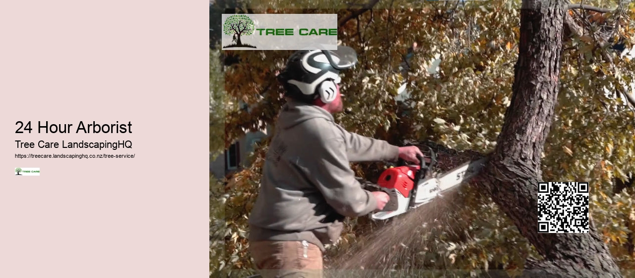 Tree Removal East Auckland