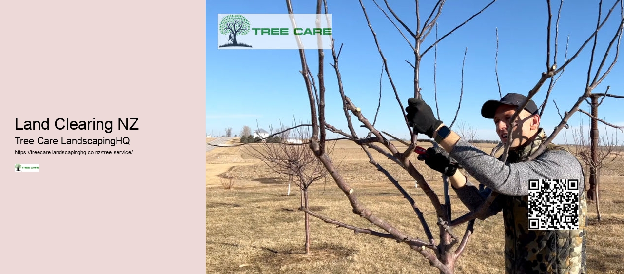 Tree Trimming Tauranga