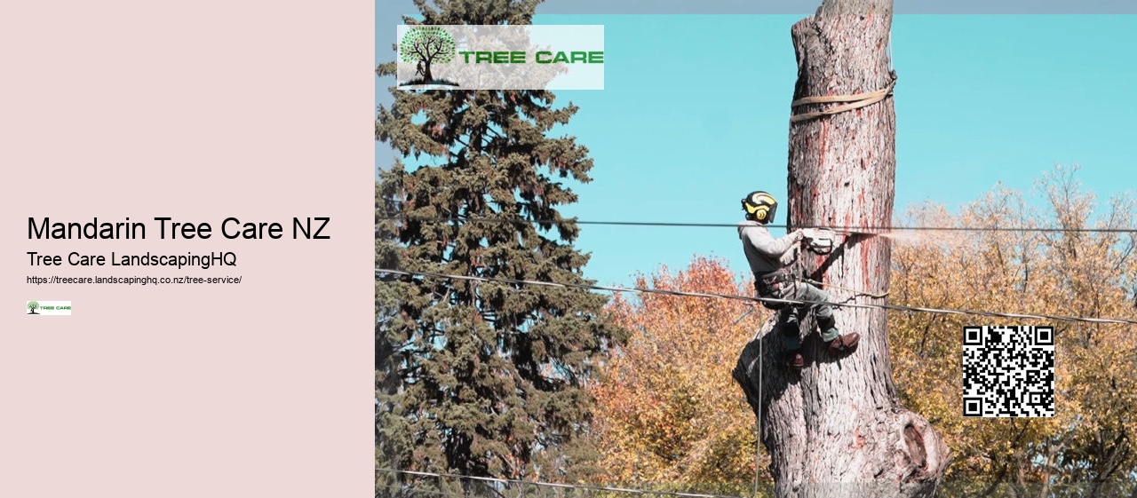 Tree Services Wellington