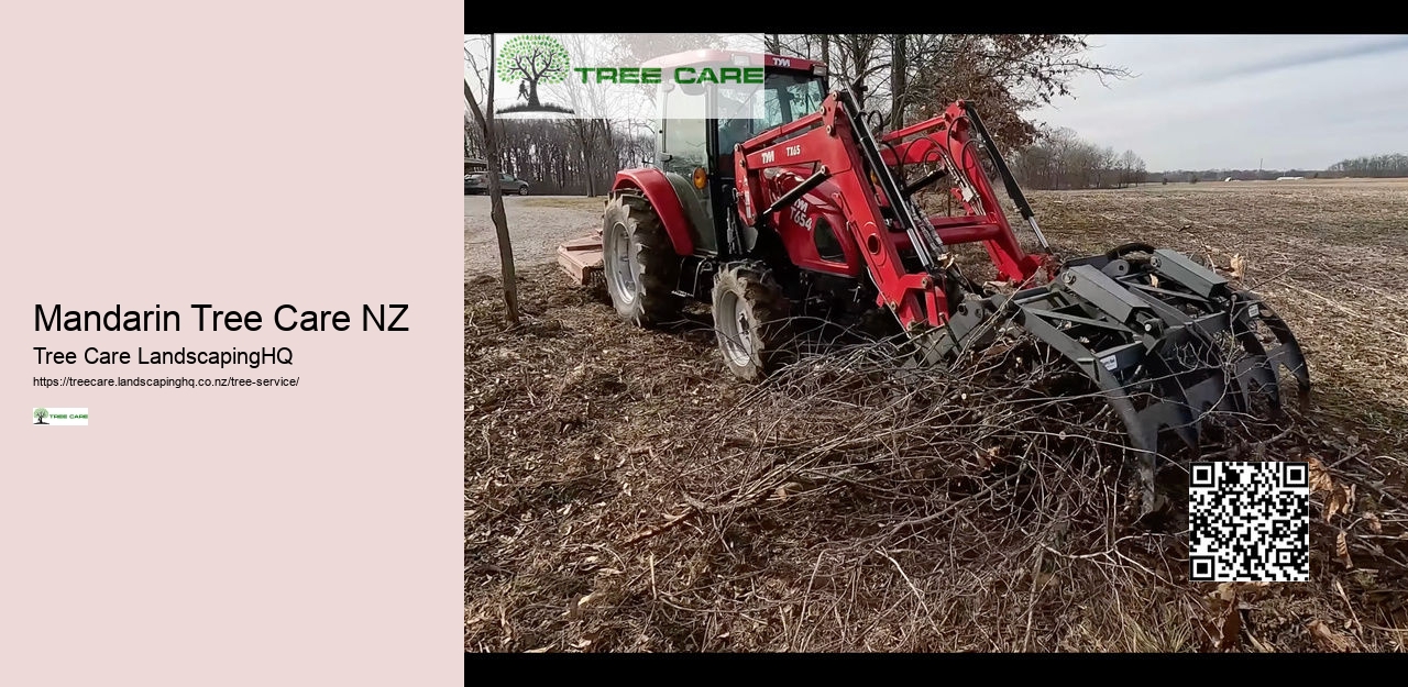 Tree Removal Rotorua