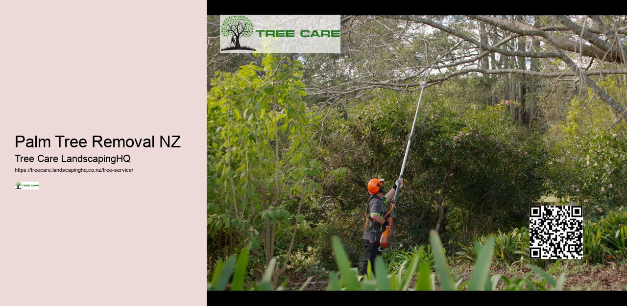 Palm Tree Removal NZ