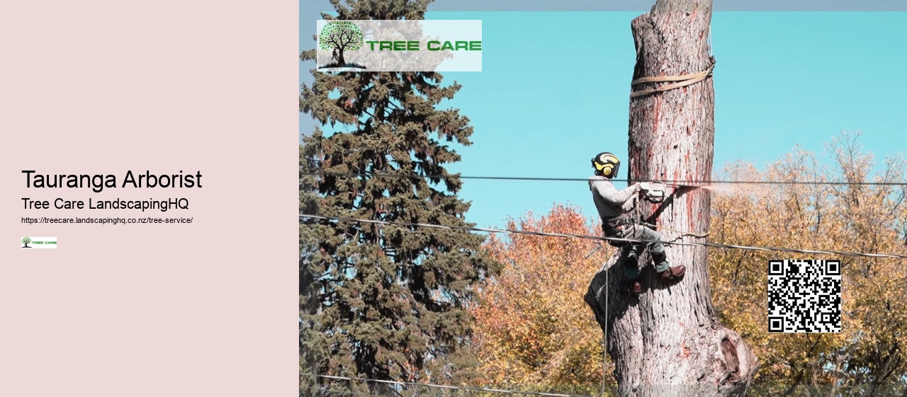 Tree Arborist Rotorua