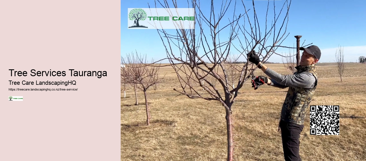 Arborist Tree Surgeon Near Me