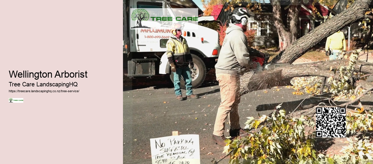 Wellington Arborist