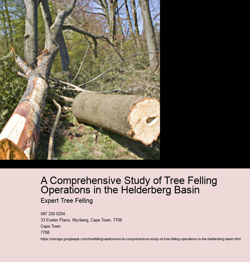 A Comprehensive Study of Tree Felling Operations in the Helderberg Basin